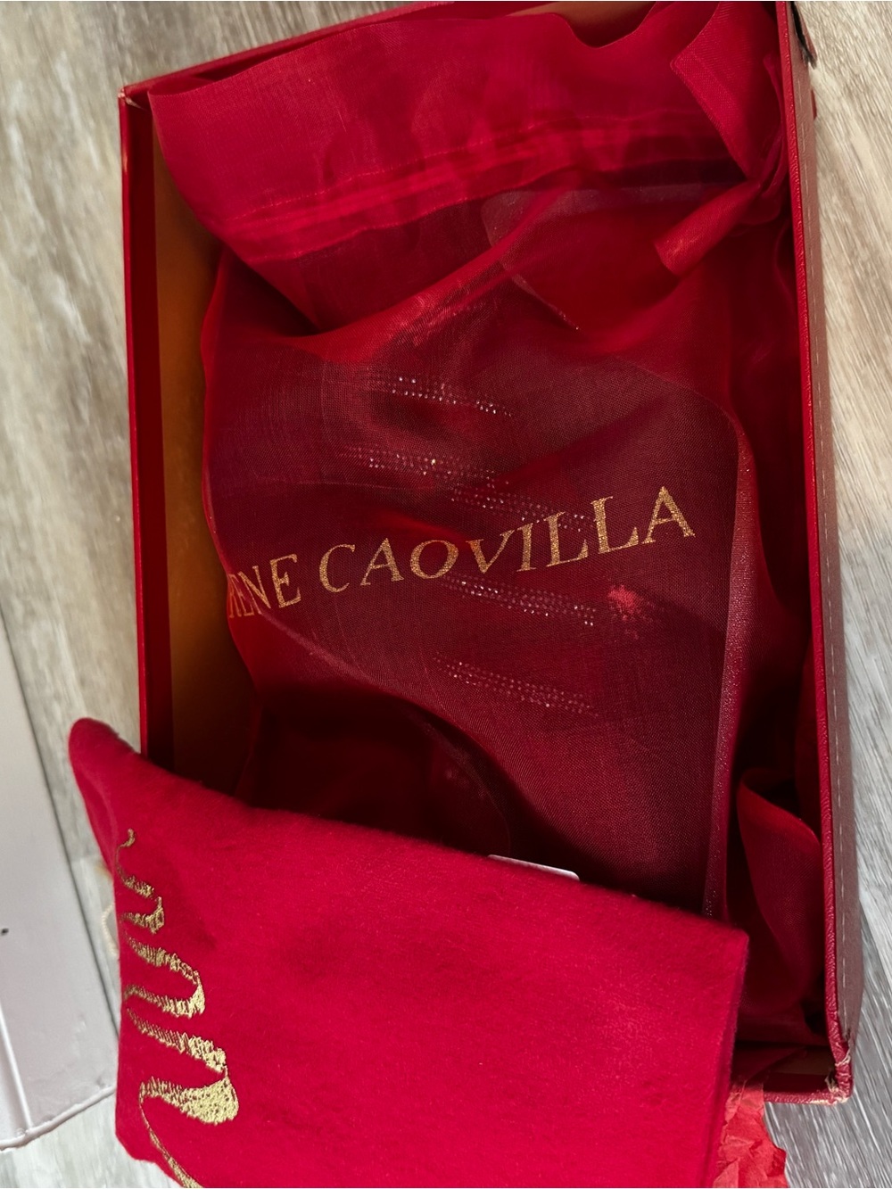 Rene Caovilla Cleo pump (41) new - Picture 12 of 15